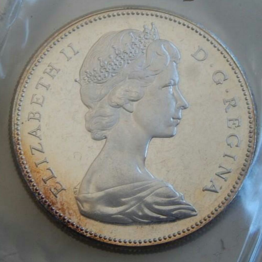 Looking-To-Confirm-Grade-Of-1967-Possible-Diving-Goose?